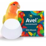 Avel Calcium Block - 1 Pc