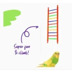 Birds Big Ladder - Image 2