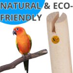 Natural Wooden Perch - Image 3