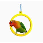 Round Swing Toy