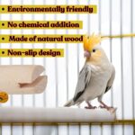 Natural Wooden Perch - Image 2