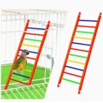 Birds Big Ladder