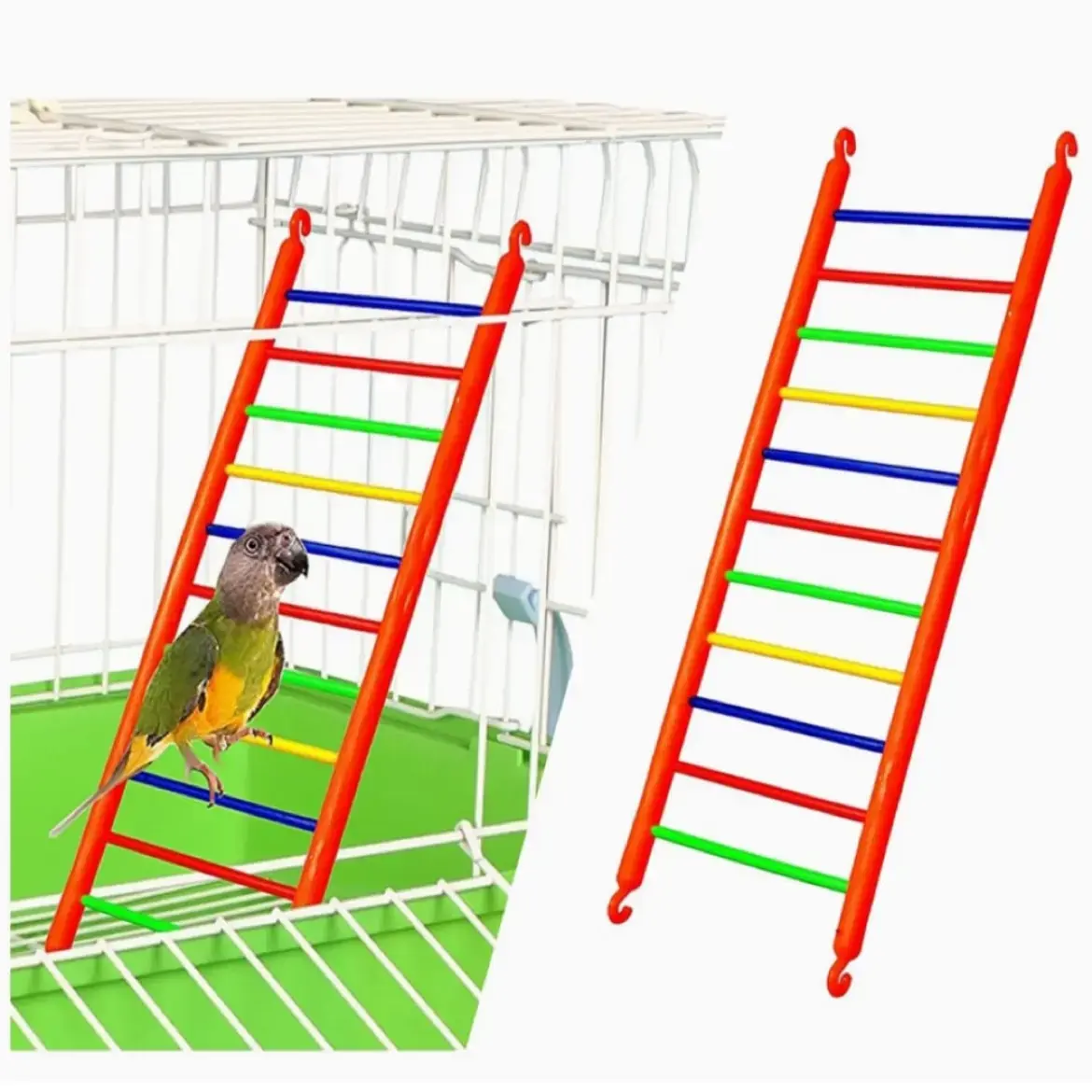 MycOTScq Birds Big Ladder - Image 1