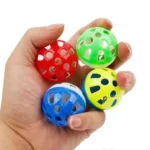 Playing Ball With Bell - Image 4