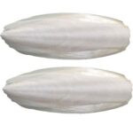 Cuttlefish Bone Calcium - 100gm - Image 3