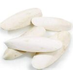 Cuttlefish Bone Calcium - 100gm - Image 2