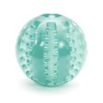 Dog Treat Ball Toy