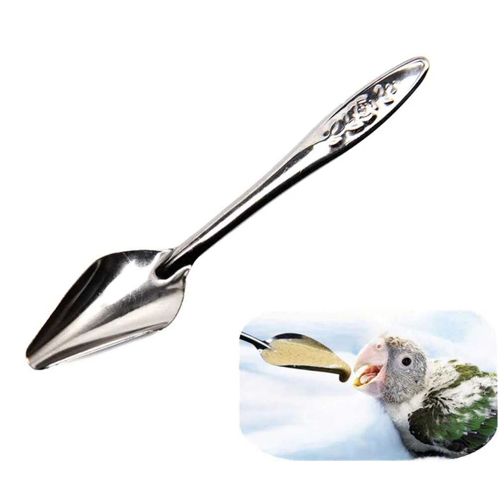 517X+bZlMjL._SL1001_ Bird Feeding Spoon - Image 1