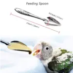 Bird Feeding Spoon - Image 4