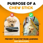 Dog Chew Sticks - Chicken Flavour - Image 3