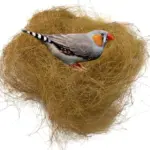 Natural Coconut Nesting for Finches - Image 2