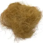 Natural Coconut Nesting for Finches